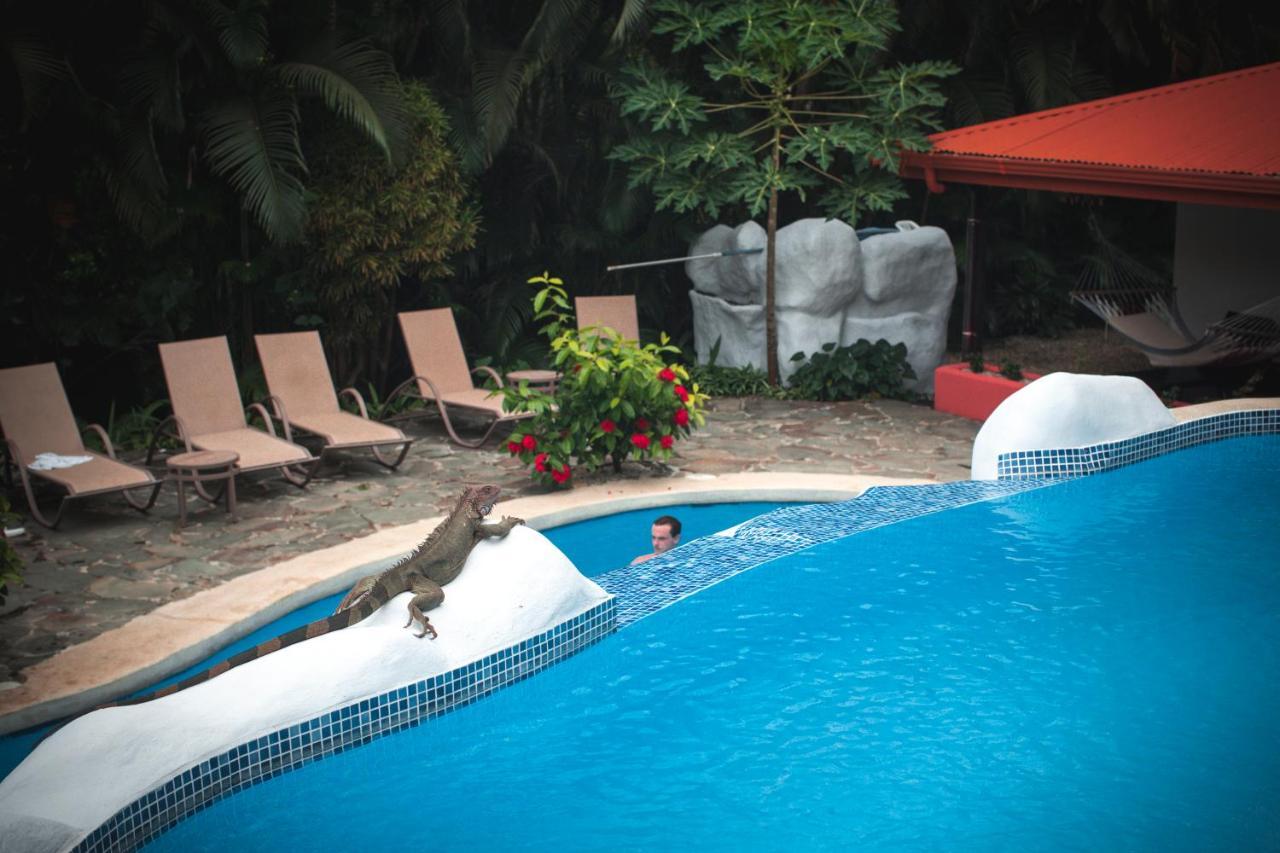 Hotel El Jardin Монтесума Экстерьер фото
