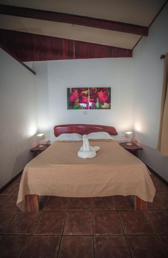Hotel El Jardin Монтесума Экстерьер фото